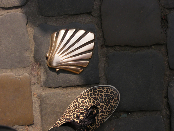 leopards-sneakers-in-summer-holidays